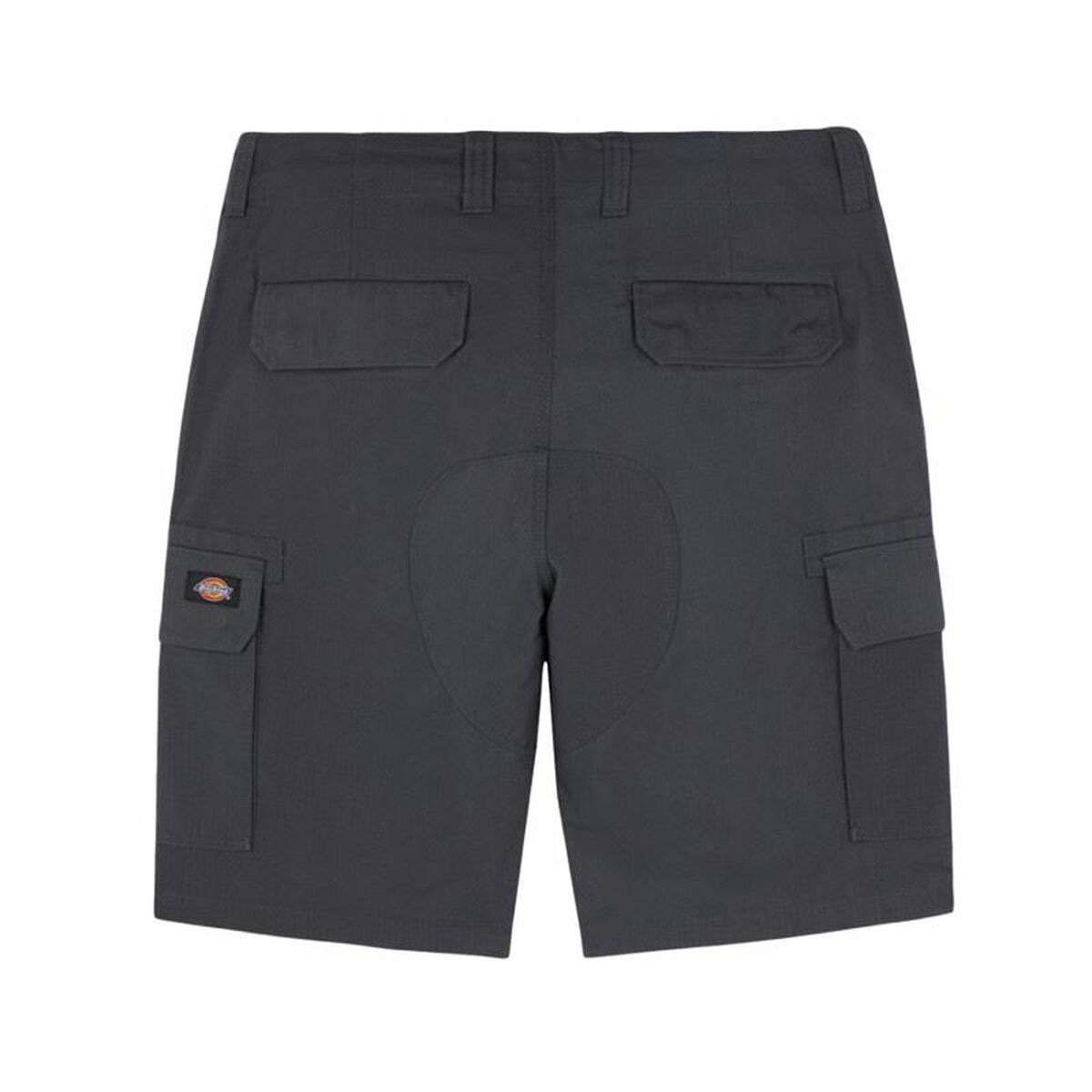 Trousers Dickies Millerville Dark grey-3