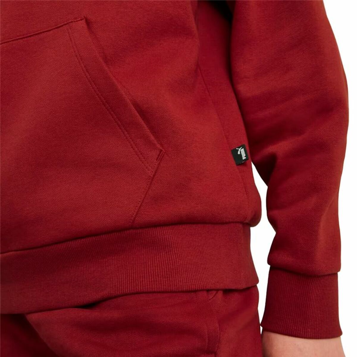 Women’s Hoodie Puma Essentials+ Script-3