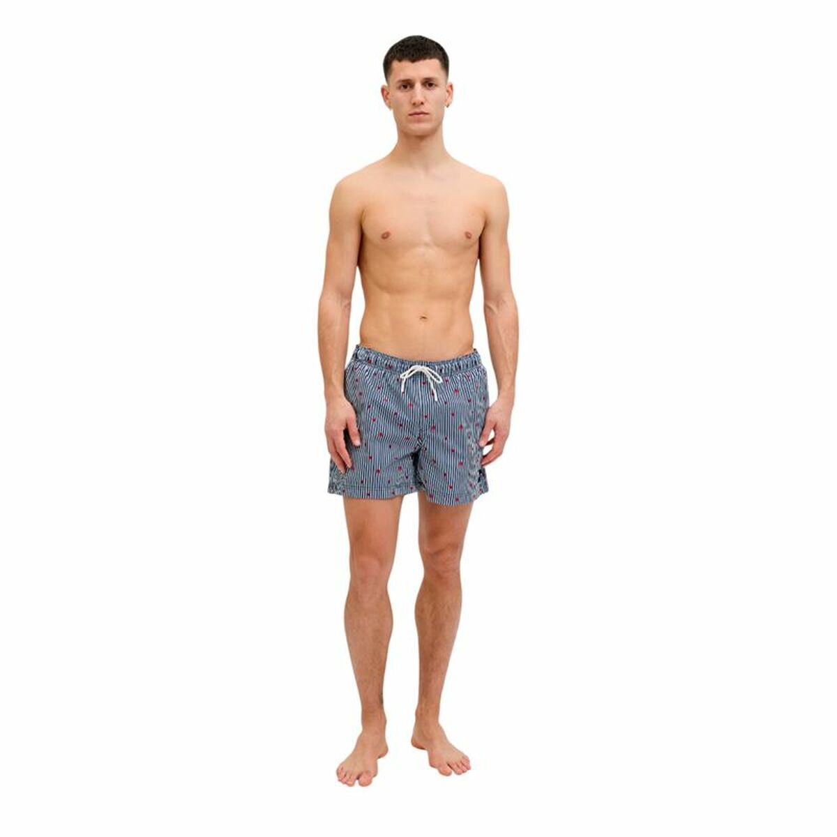 Trousers Jack & Jones Jpstmaui Jj Mini Stripe-2