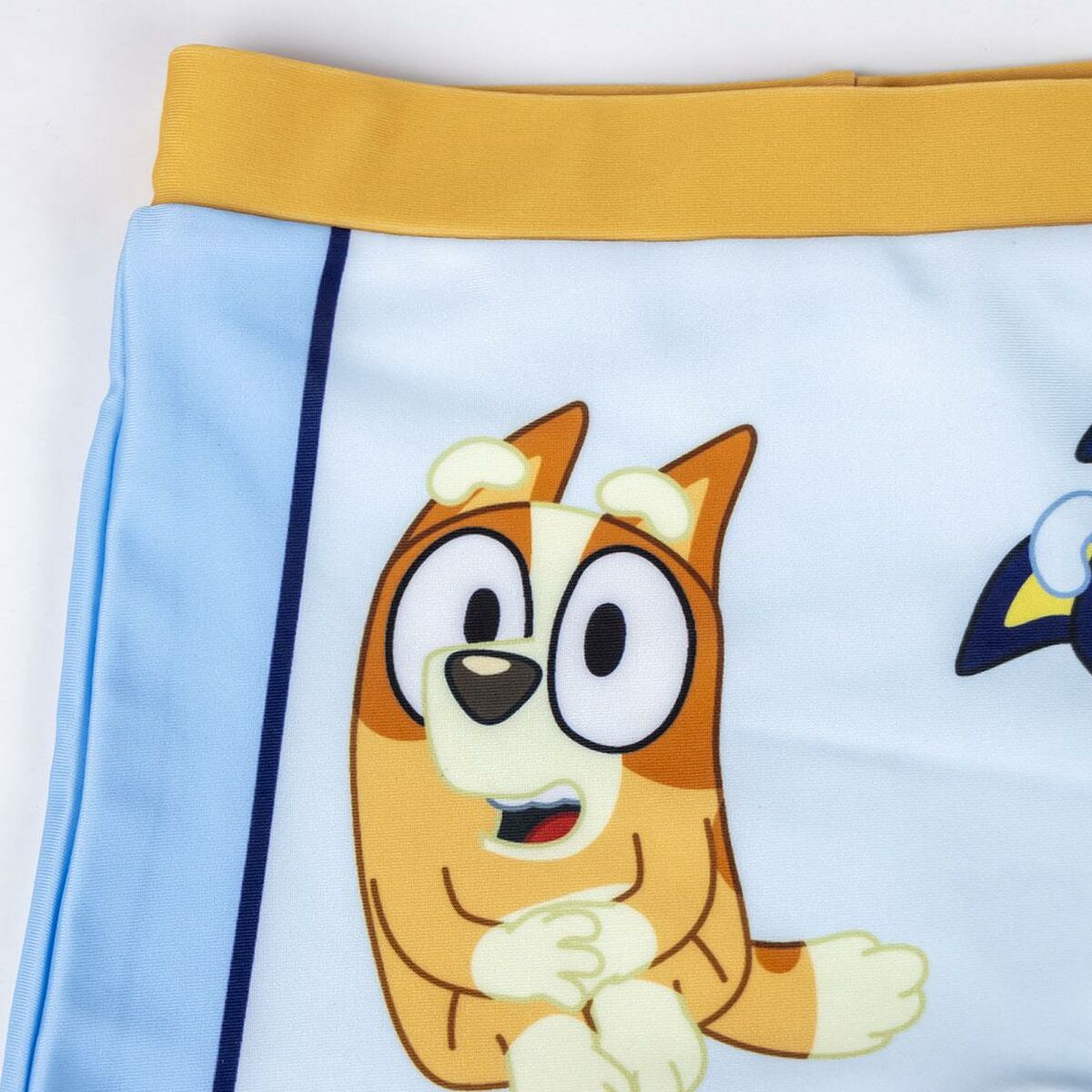 Boys Swim Shorts Bluey Light Blue-3